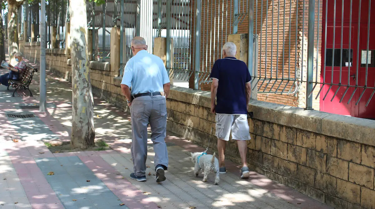 barakaldo lagunkoia propuestas personas mayores