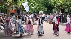 fiesta-cereza-2026-regato