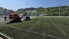renovacion-cesped-ibarreta-retuerto