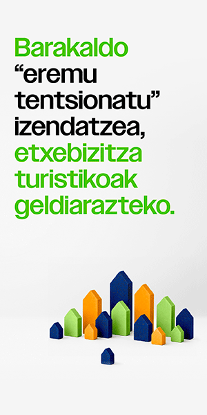 Publicidad 17313